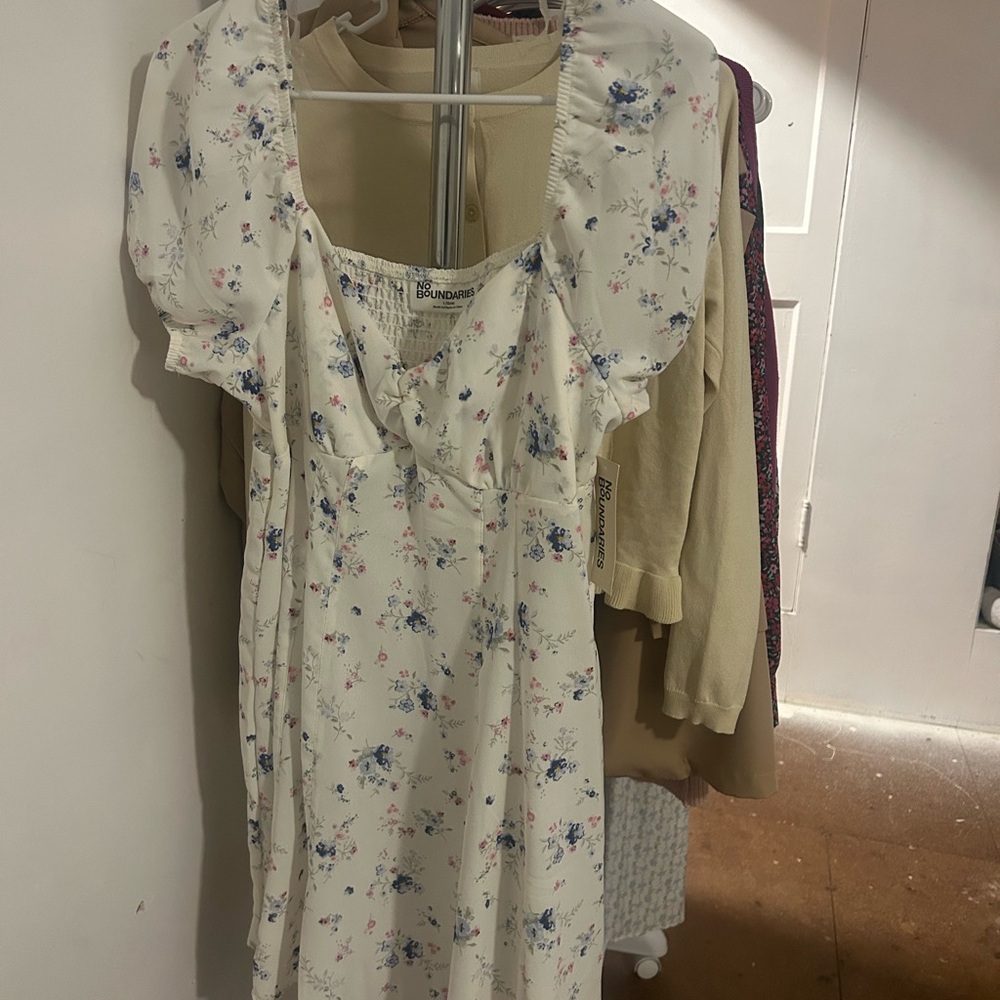 No Boundaries Floral Mini Dress - White and Blue